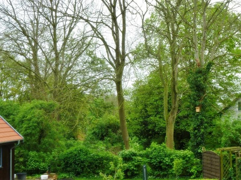 Villa Gesine'S Huuske Eilsum Esterno foto